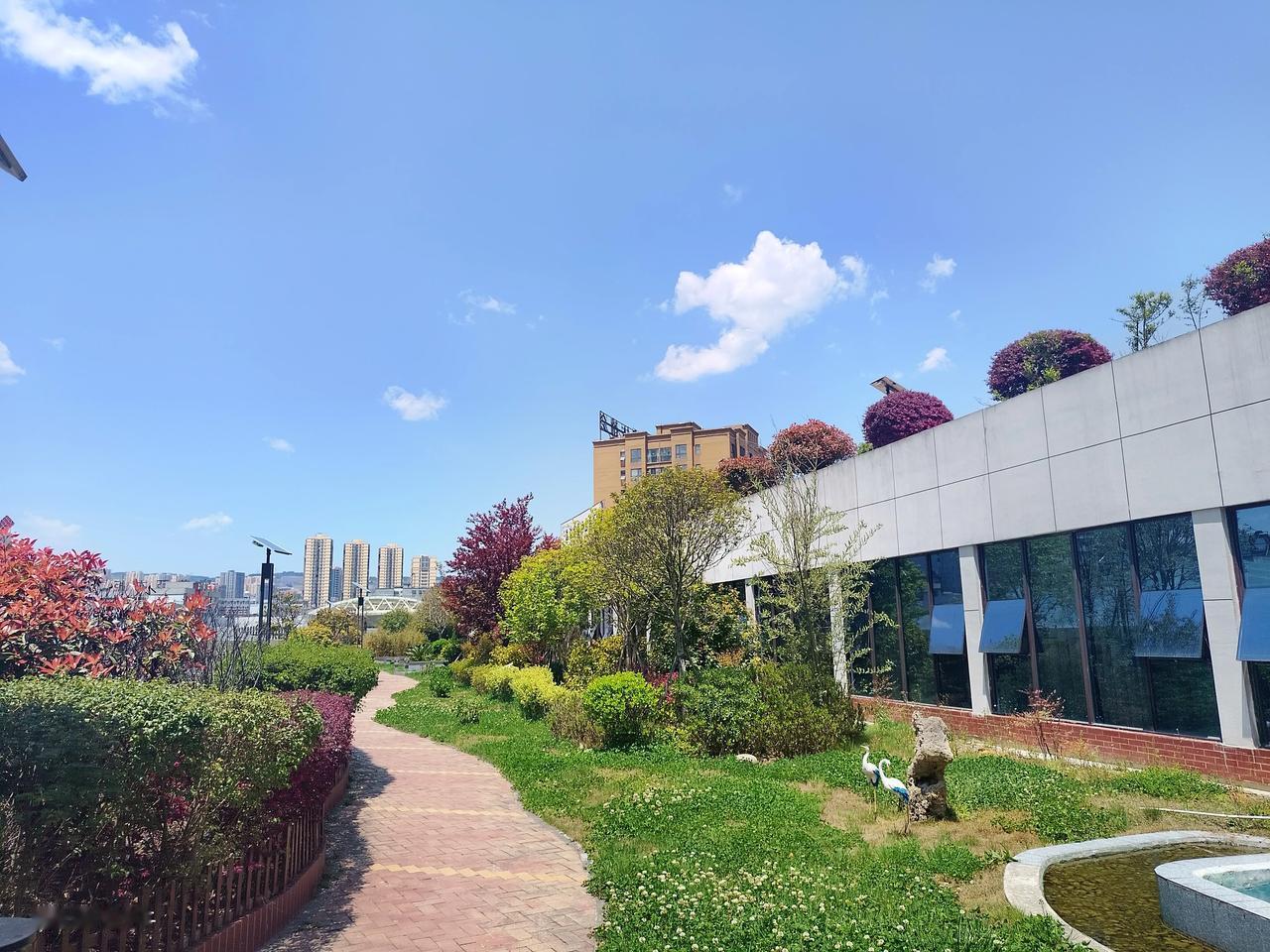 【举双手赞成禁酒令】​除了“口罩”的三年，一直在州（市）跑业务，深知烧酒的厉害。