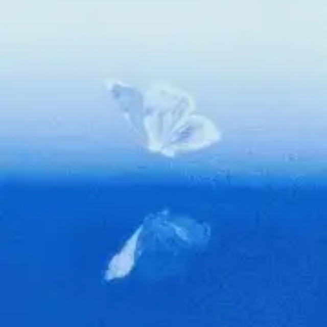 双我随意 单取拉黑！脾气不好就这德行🐏h不定发谁！都是乱发，不代表个人属性！有