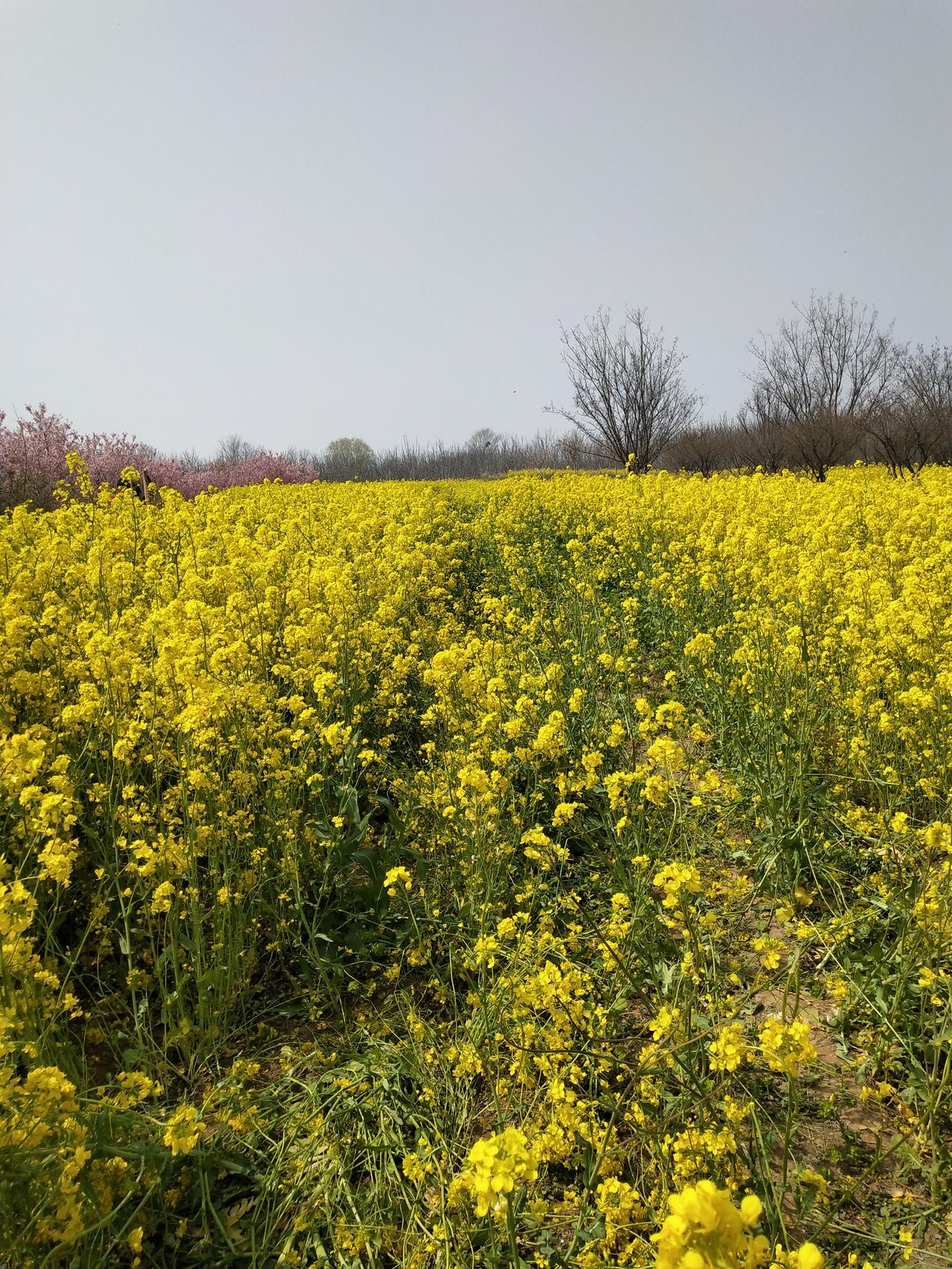  半生风雨半生寒，一杯清茶度流年。守得住烟火气，才是真生活。 眉眼带笑，心中有光