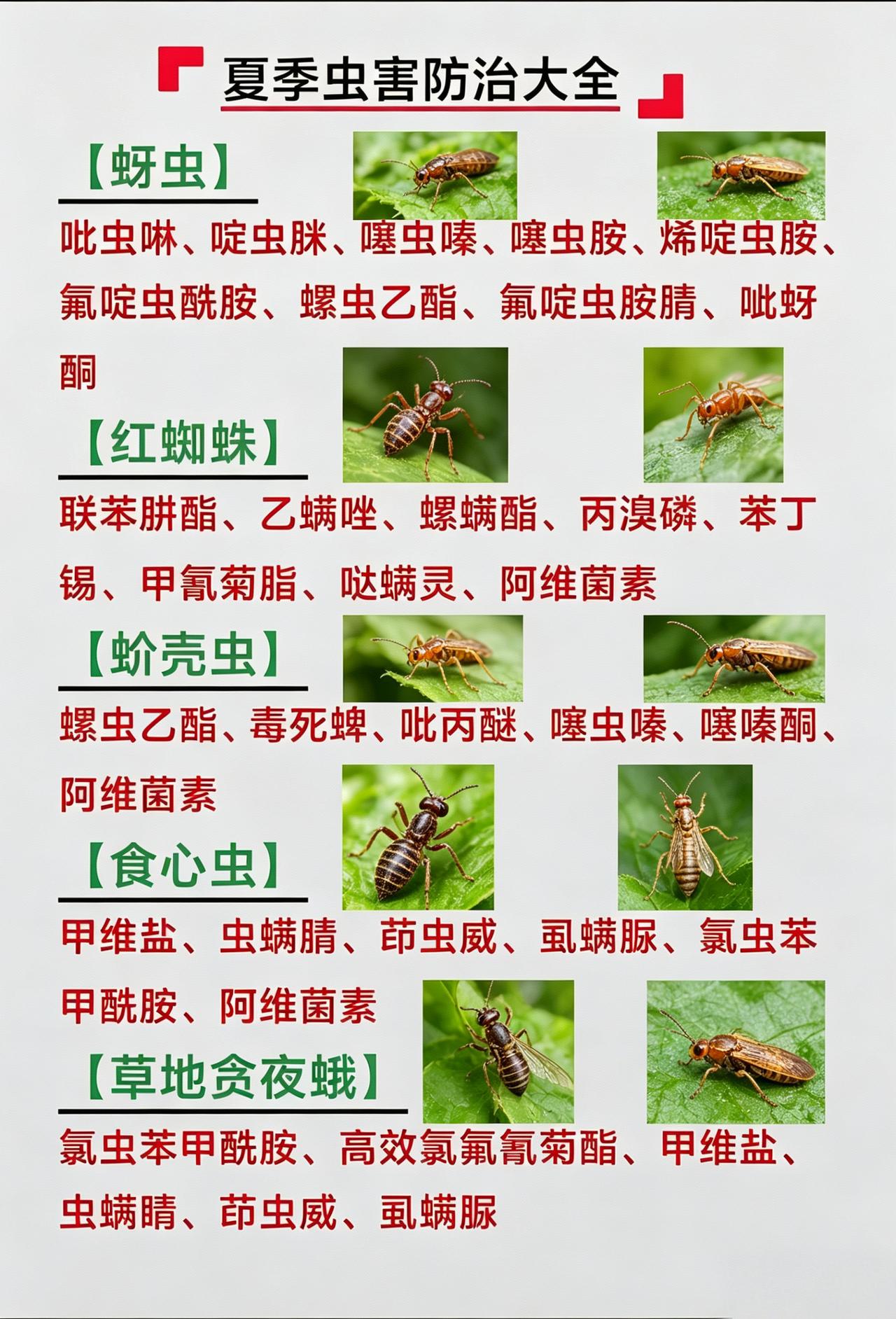 虫害防治 蚜虫 红蜘蛛 草地贪夜蛾
