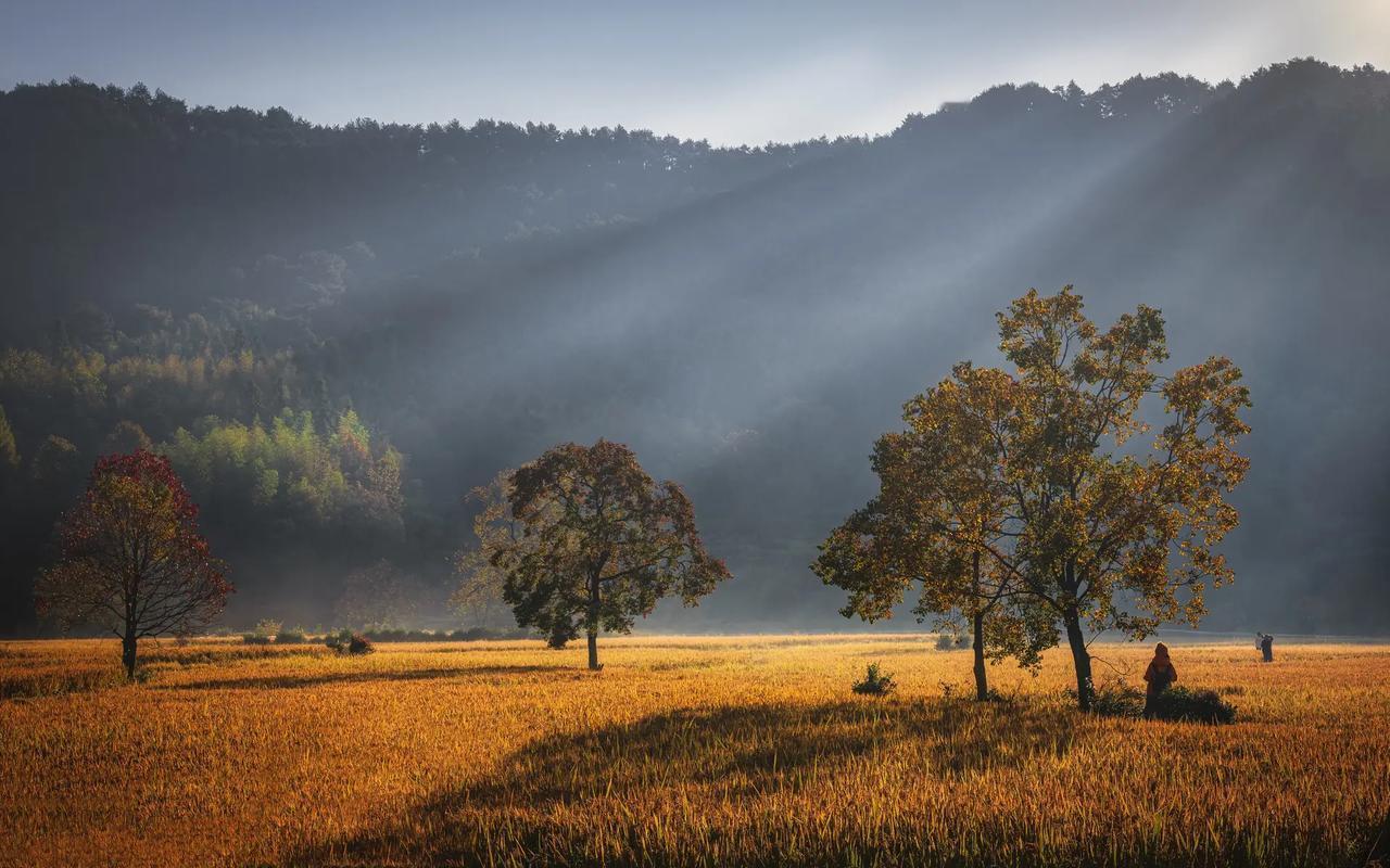 我们确实有很多的家长不了解培养孩子的应试技巧，初中的学生和高中的学生如果说你的数