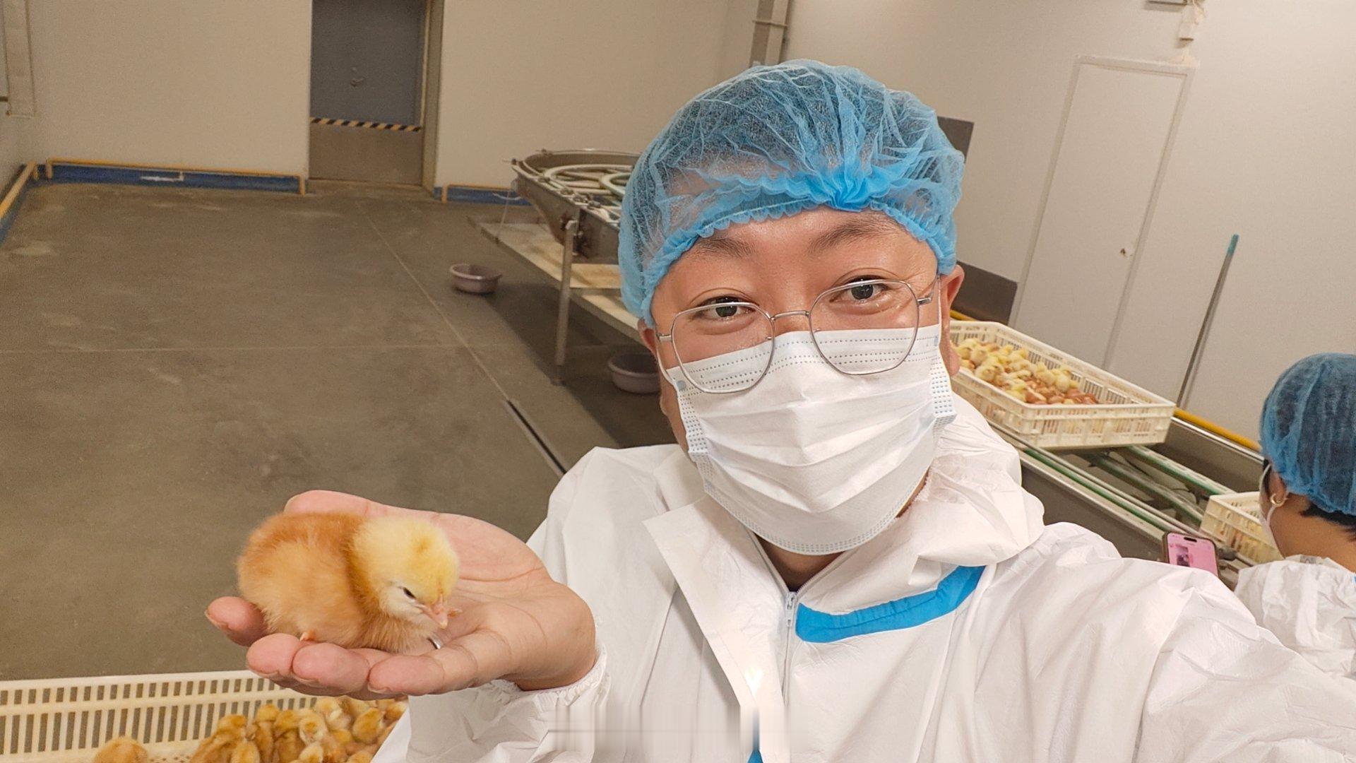 你见过哪些奇妙的反差？比如图一：看着像宇宙飞船，其实是养鸡场给大家看看如今我们现