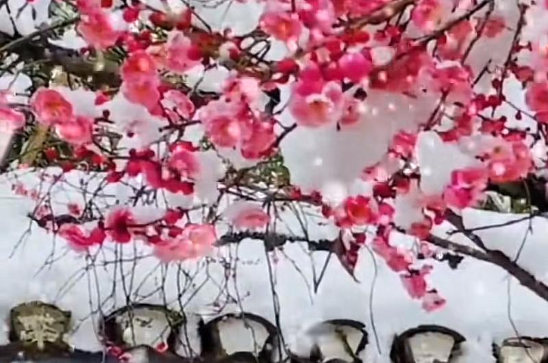 12月23日：事关北京二手房，涨跌自己判断！

距离2026年倒计时9天，昨日北