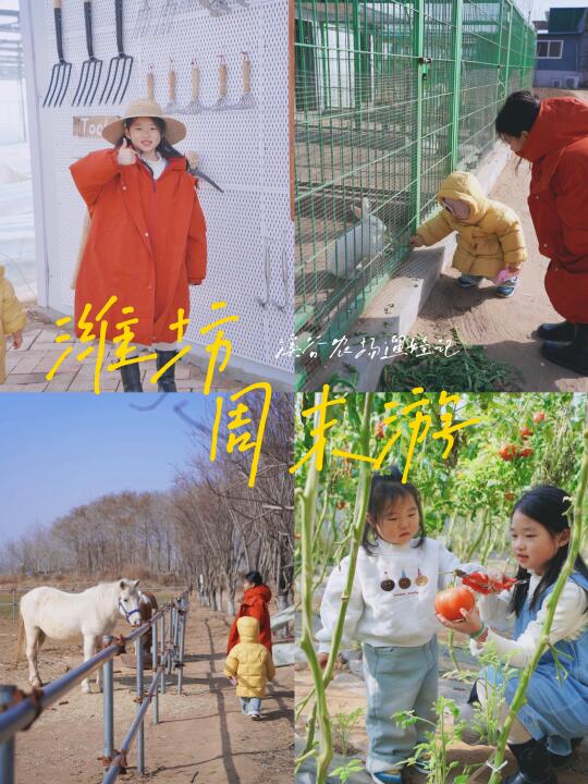 潍坊周末游 | 溪谷农场遛娃记