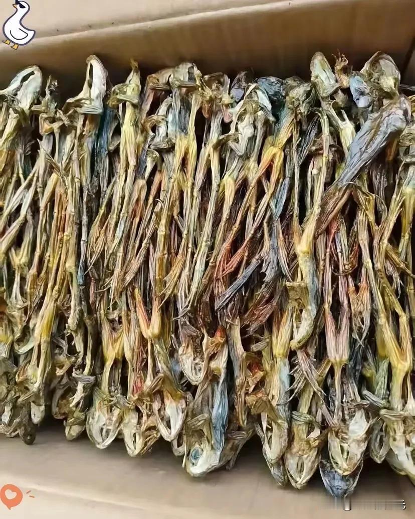 有没有湖南的朋友？

能不能告诉我这是什么东西？

闺蜜寄来的快递，说是她们那里