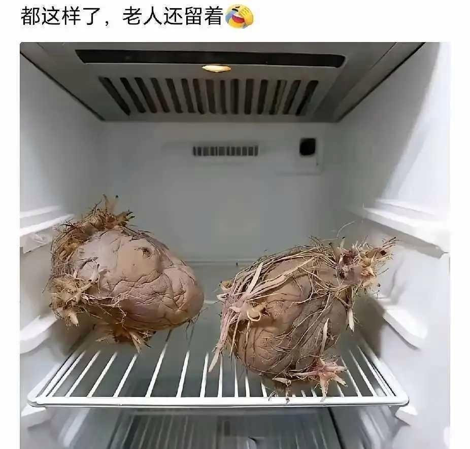 老人就是节约，但是你不知道电费比这个更贵！