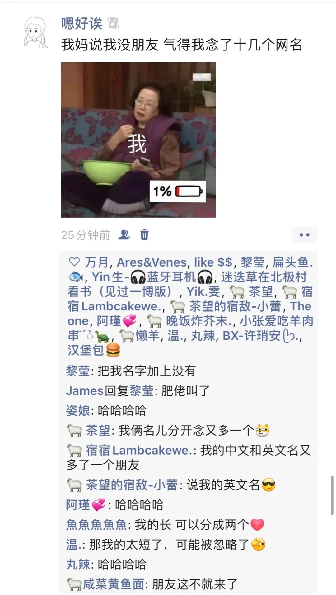 我妈说我没朋友，气得我念了十几个网名