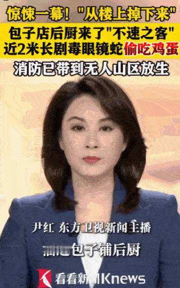 不怕一万，就怕万一！据媒体5月7日报道，深圳龙岗一居民区街边包子铺，日常后厨正常
