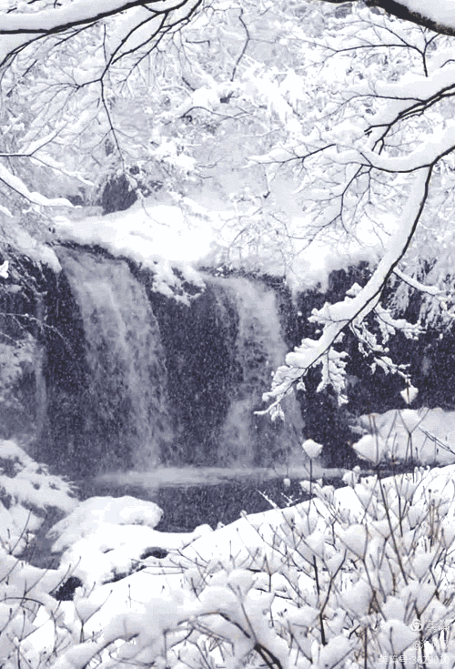 今日三九第一天，俗话说“三九补一冬，来年无病痛”，要注意进补，照顾好身体呀！