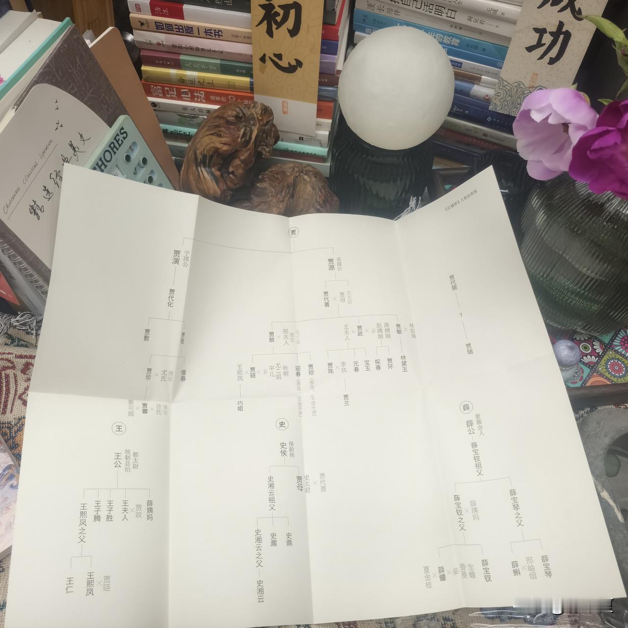 📚 沉浸式读书Day2 
收拾毕，泡一壶墨红玫瑰。
开启《少年读红楼》——今天