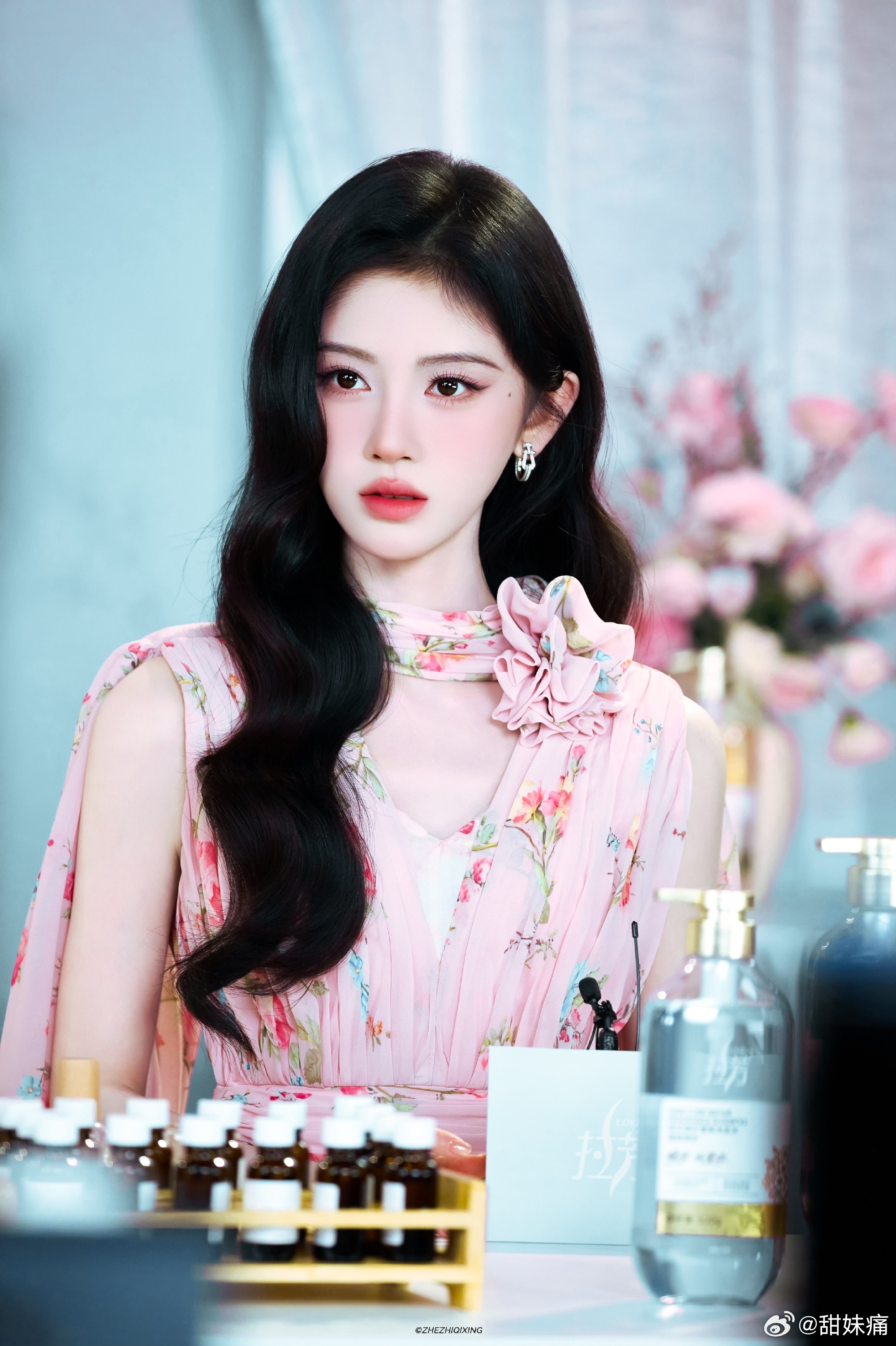 鞠婧祎苏绿夏鞠婧祎万花世界 ᨳ⁺˳⋆. 放根逗猫棒在这 愿者上钩𐃆 ·̩͙ ₊
