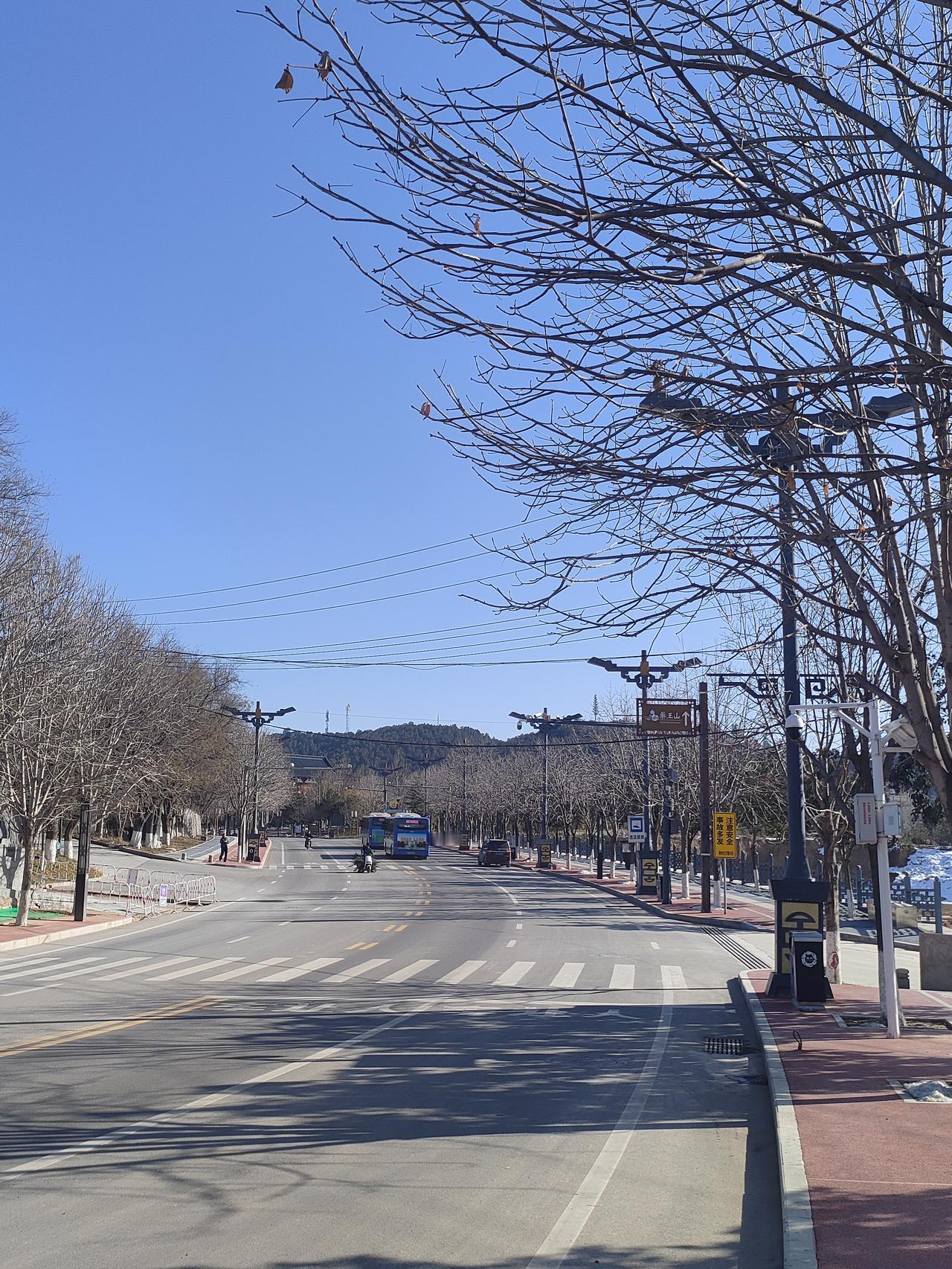 🌞 蓝天把澄澈铺成画布，枝桠在风里写着疏朗的诗，街道像条被阳光吻过的河，静静淌