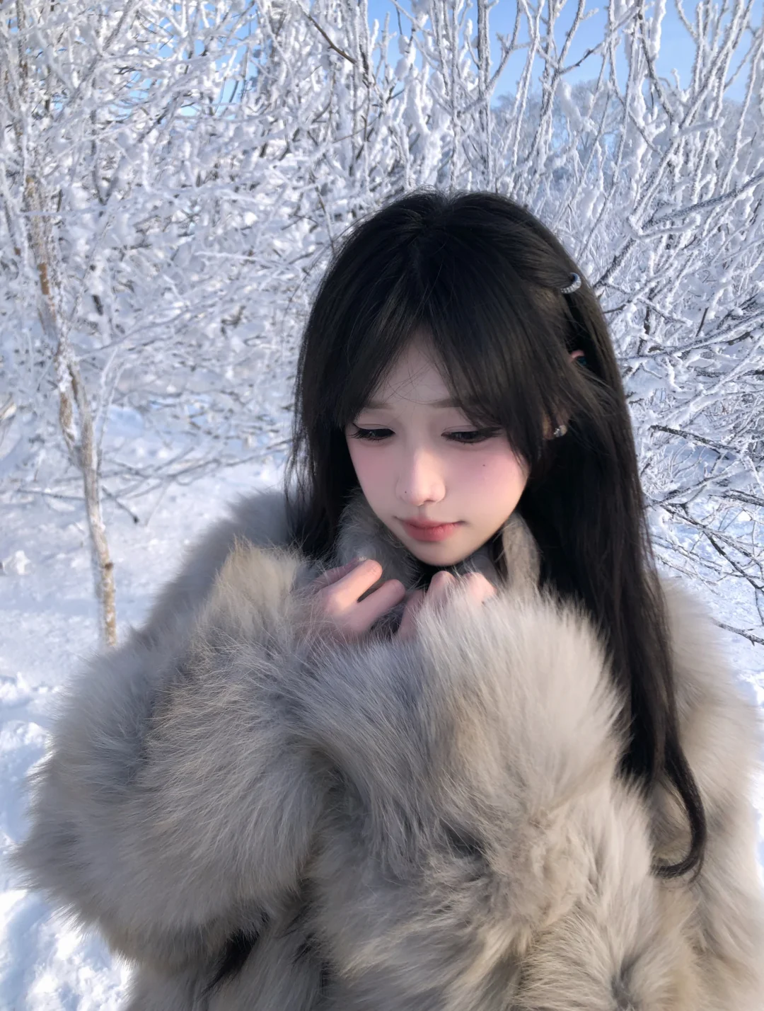 雪岭的雪花⋆꙳•❅‧*₊⋆
