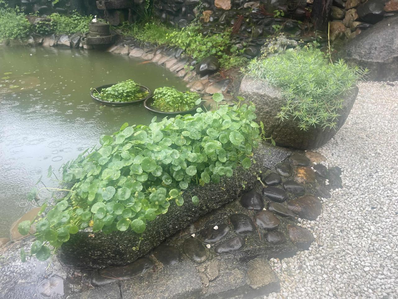 人生怎么选才没有遗憾?
人生万般，皆有遗憾

转眼之间，妻子离开我们已经整整十个