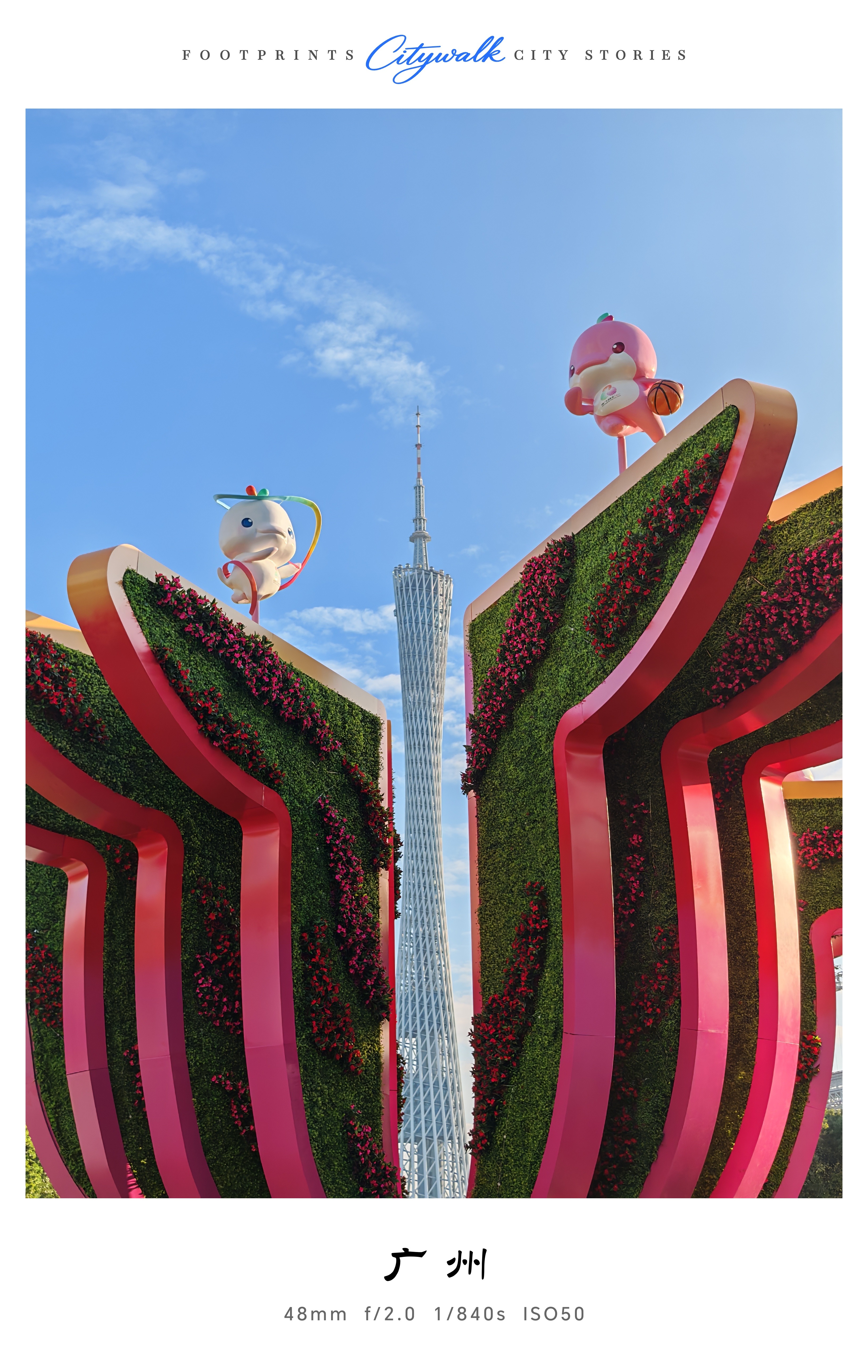 大湾鸡越看越可爱激情全运会，活力大湾区！ ​​​