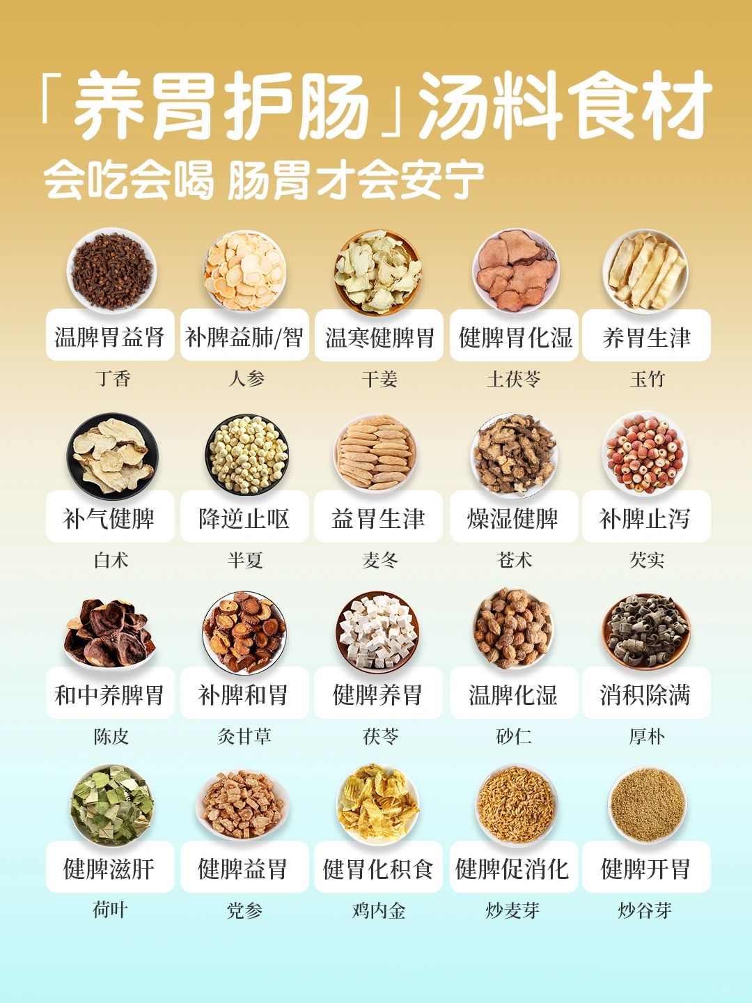 常见养胃｜护脾｜润肠🌿汤料食材速查🔍