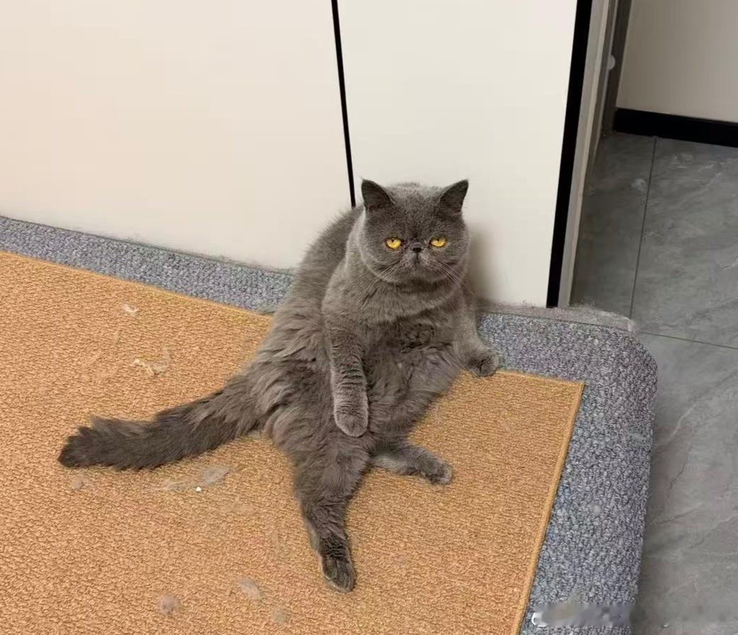 你为什么越来越猥琐铁男随便聊