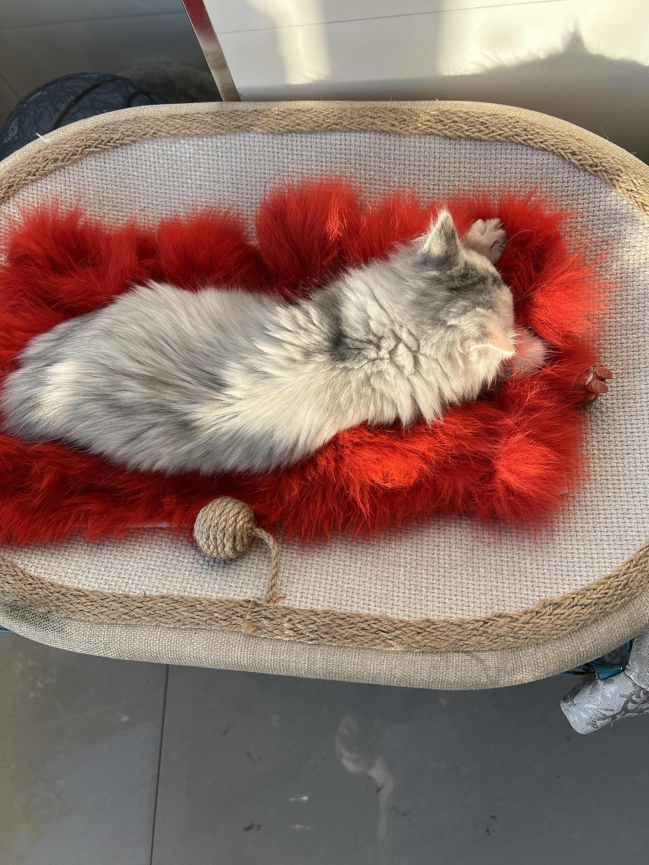 大家有没有发现，
上一辈人真的很能吃苦，
特别的能吃苦耐劳，无论是在哪个地方，