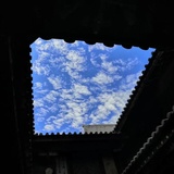 坨贵读读娱乐