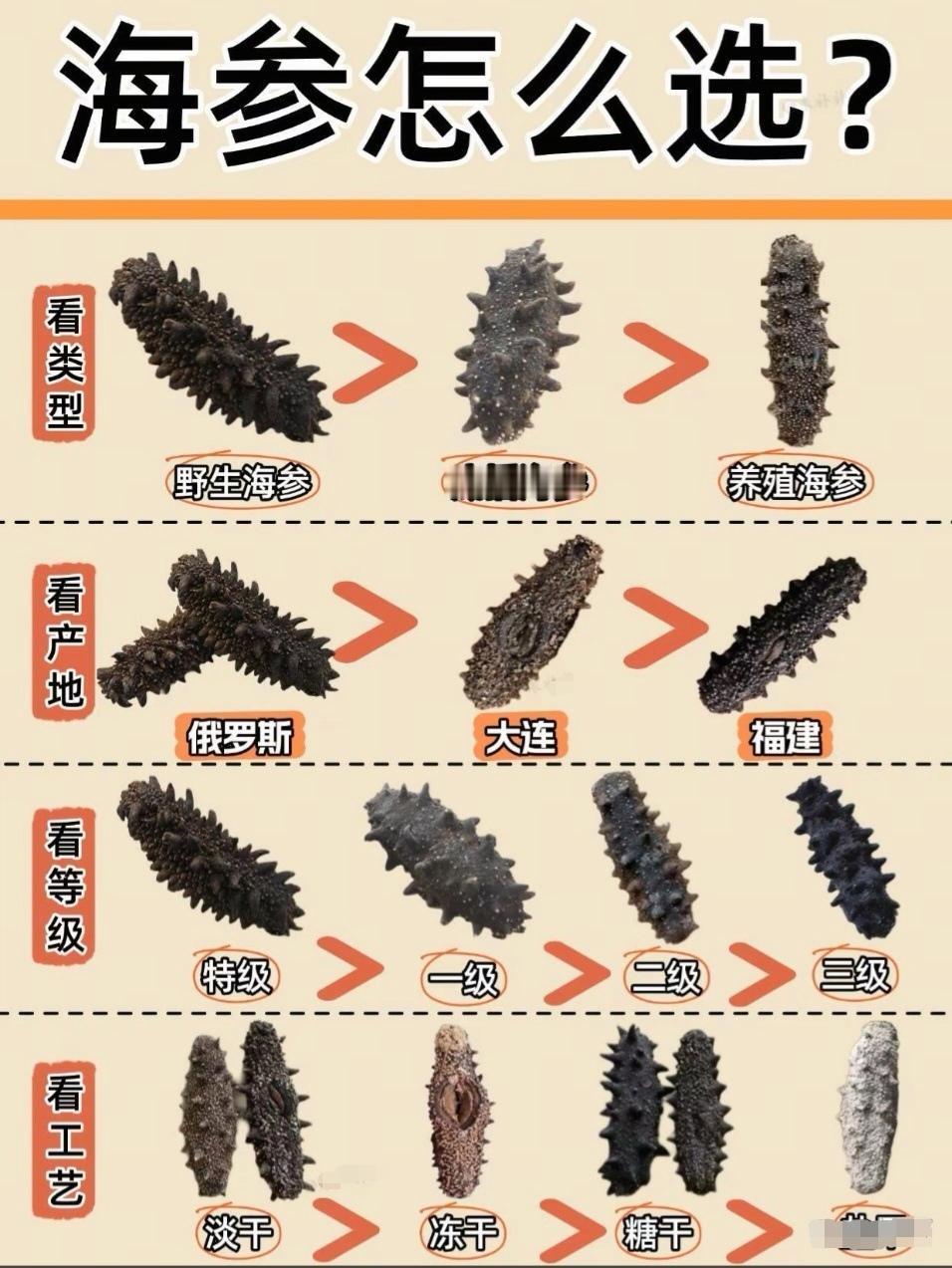 【海参选购全指南，3分钟教你挑出“海中黄金”】

海参，被誉为“海中人参”，是滋