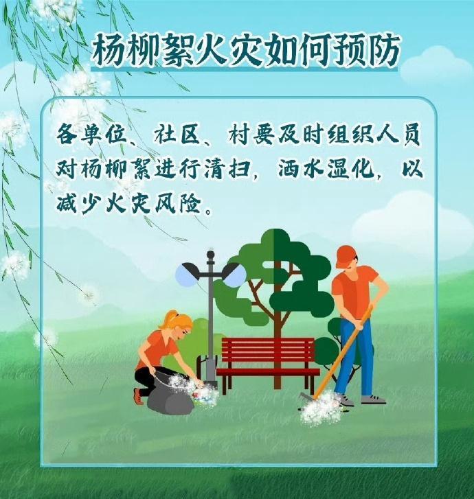 飘飞的柳絮不仅会引发鼻炎让人身体不适，更有可能留下火灾隐患。由于柳絮中含有油脂，