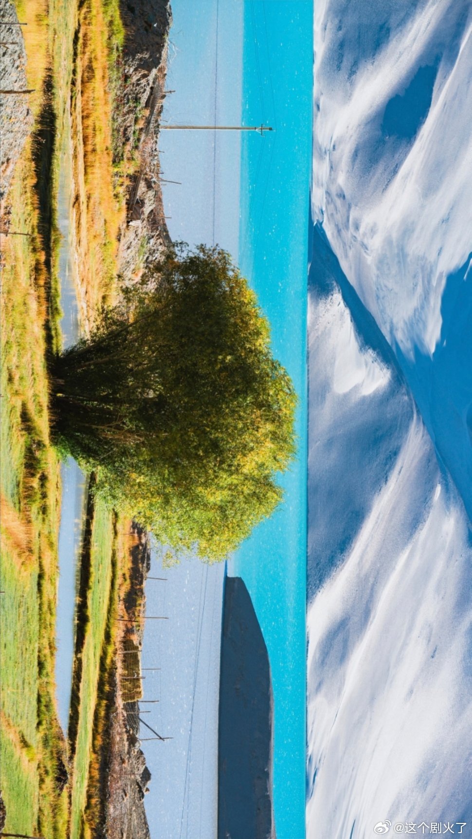 白沙湖的金草滩|北岸风景 