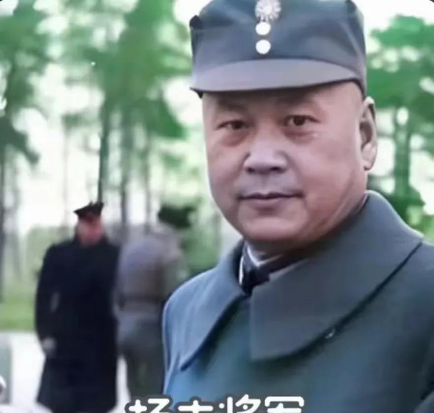 1948年，民国军学泰斗，斯大林口中的“战略家”杨杰，曾向主席提出过一个绝密的大