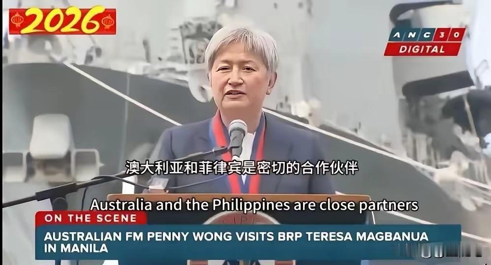 我可以肯定的说，澳大利亚从上到下，反对中国的只是少数。

澳大利亚这个华裔外长，
