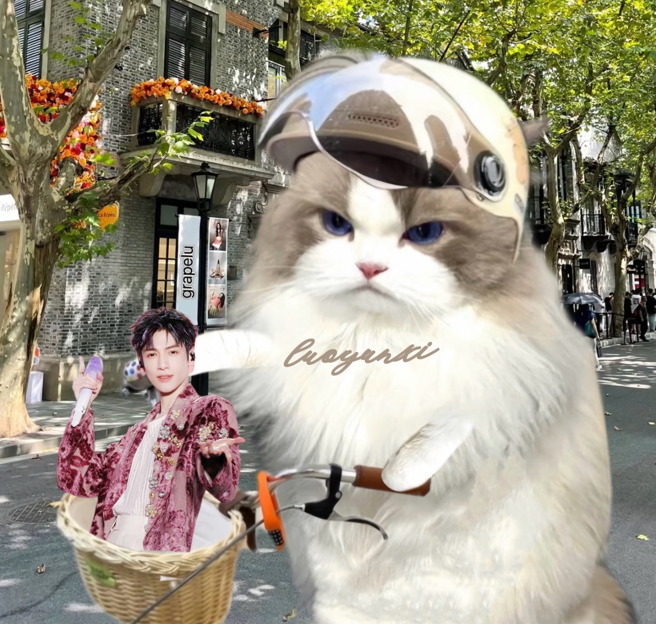 蹭rs/zzp/ydl≠我粉籍，重点🍑🧱发言请勿上升正主💜关于🈷️人◎要