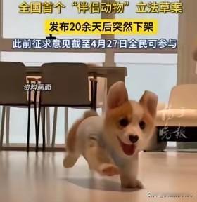 权力滥用的腐败，已经到了非常可怕的地步，究竟是谁为三明市“伴侣动物”立法开放绿灯