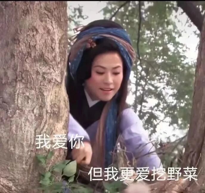 年少不知野菜好，错把山珍当棵草（bushi），这个春天打野之后才知道什么叫尊重春