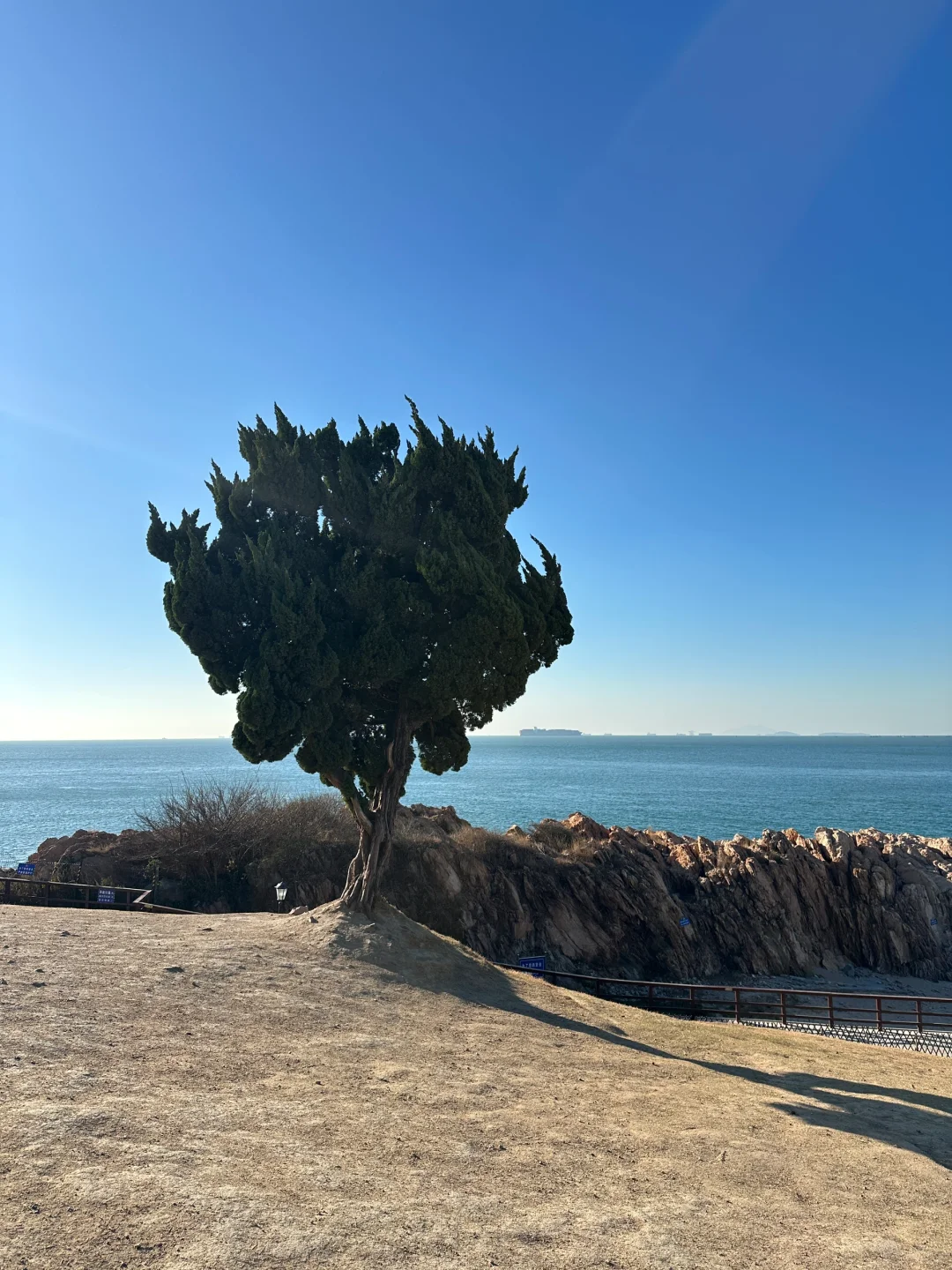 一个人看海🌊冬天的青岛美到犯规！