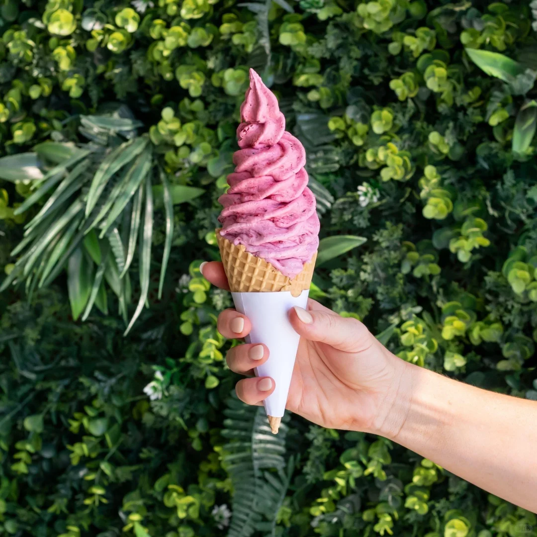 🇳🇿纽村又到了pyo季节 pyo草莓园要开放啦