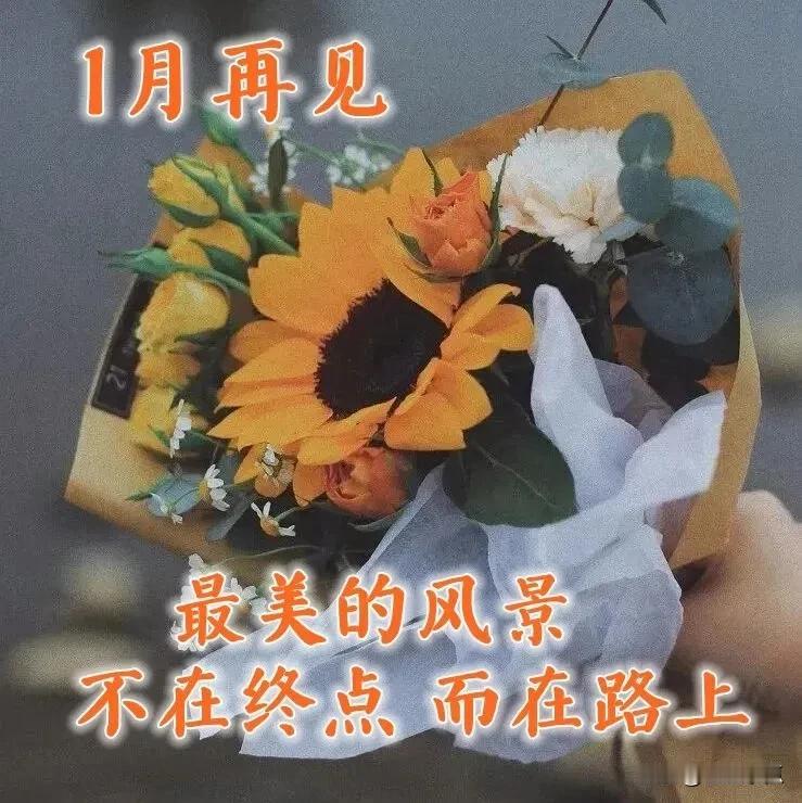 1月再见2月你好早安

时间总是匆匆流逝，还未曾抓住2023年的尾巴，2024的