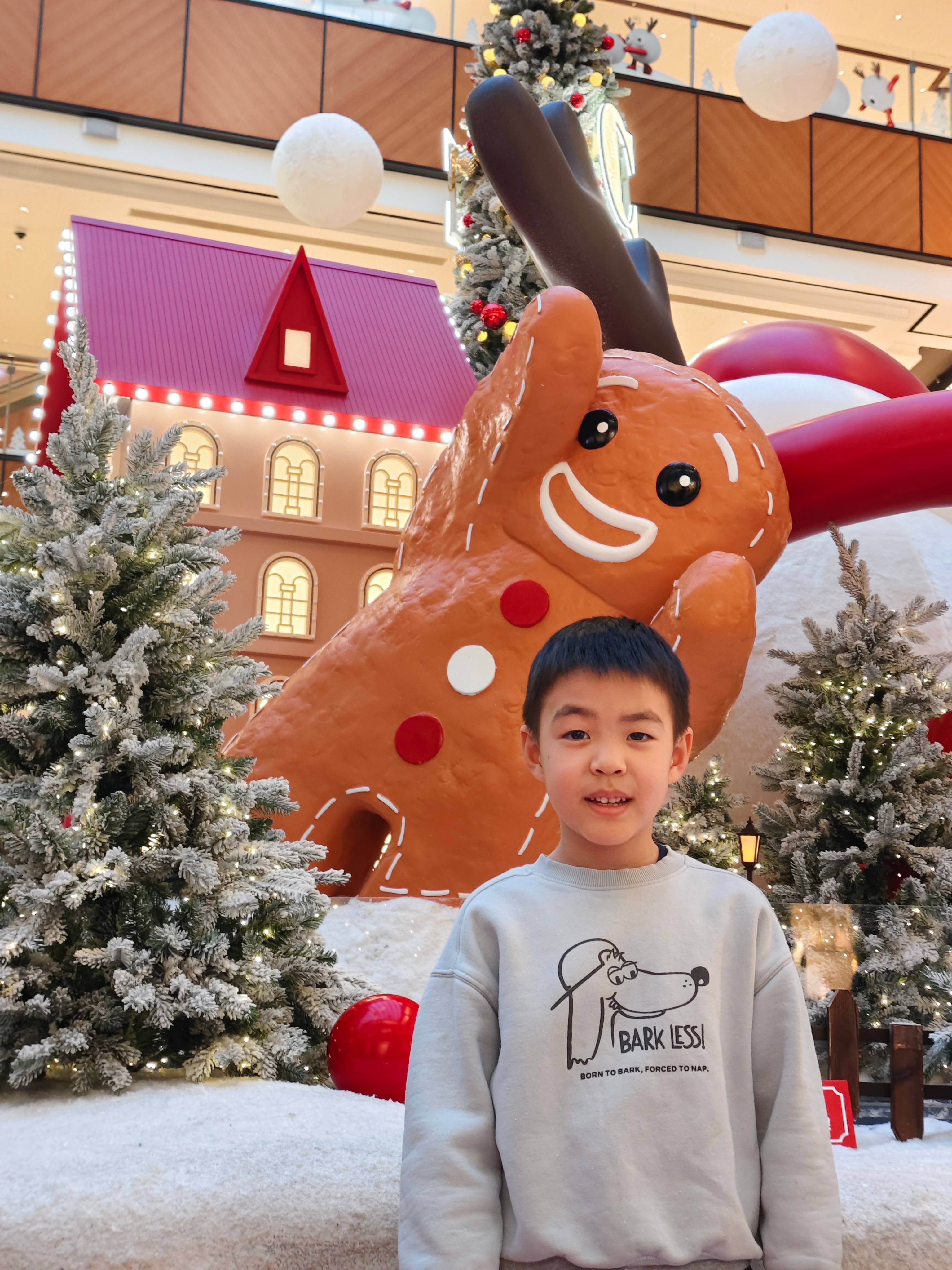 自从张小苗认字以来，他开始对路边的各种标牌感兴趣，但经常是山东秀才念半边，刚突然