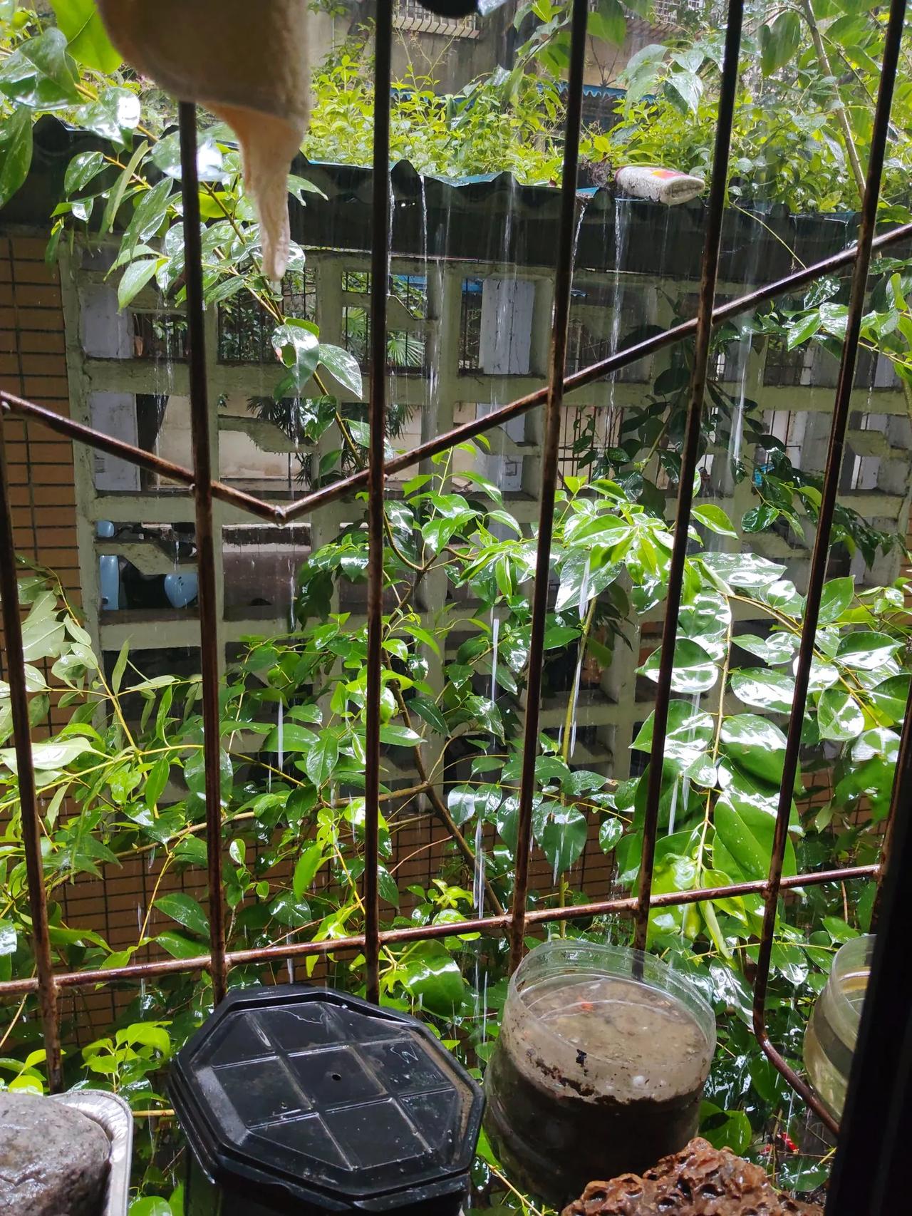 好大的雨

秋雨绵绵