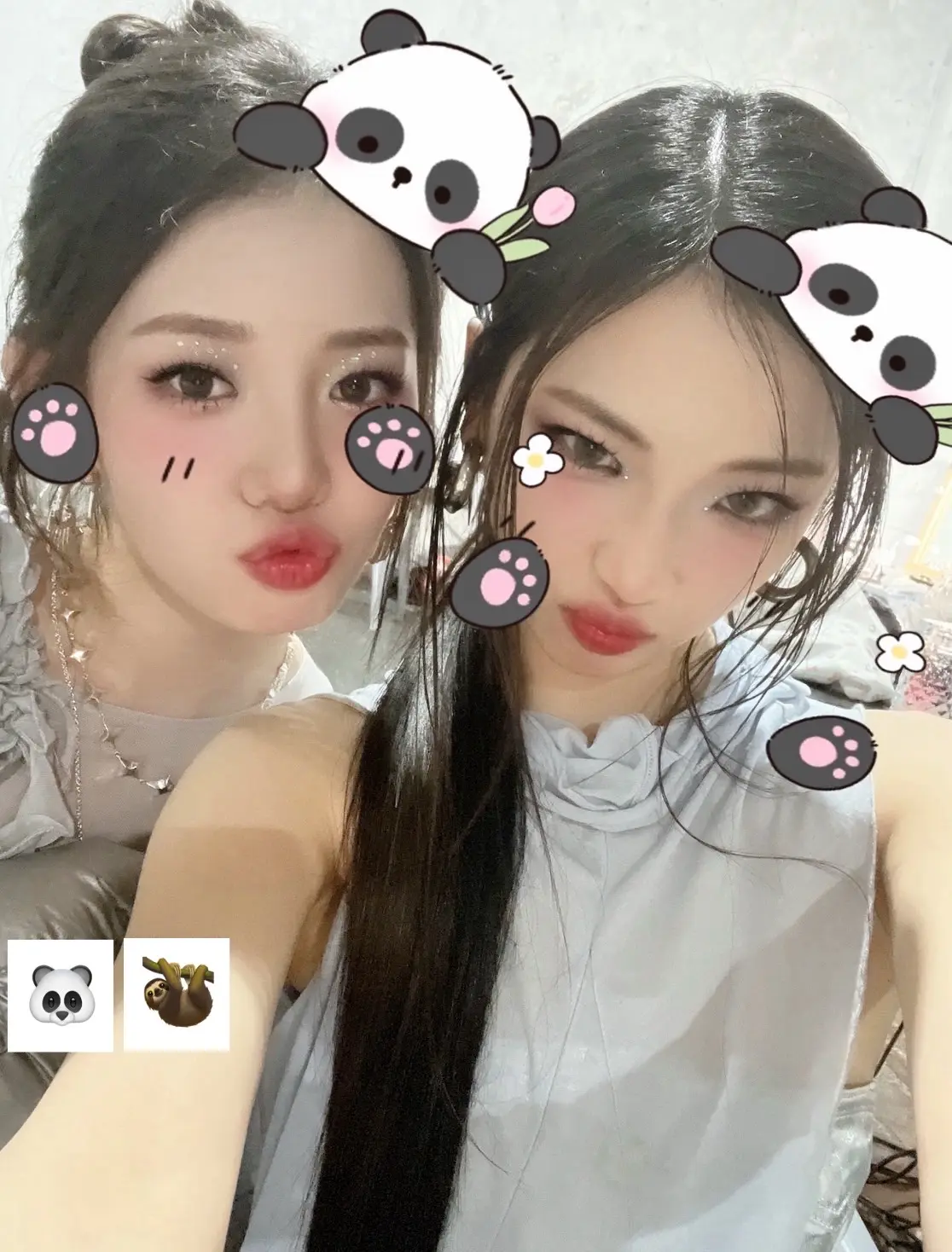 大姐每年给熊猫的贺图都好可爱🥰🐼🦥