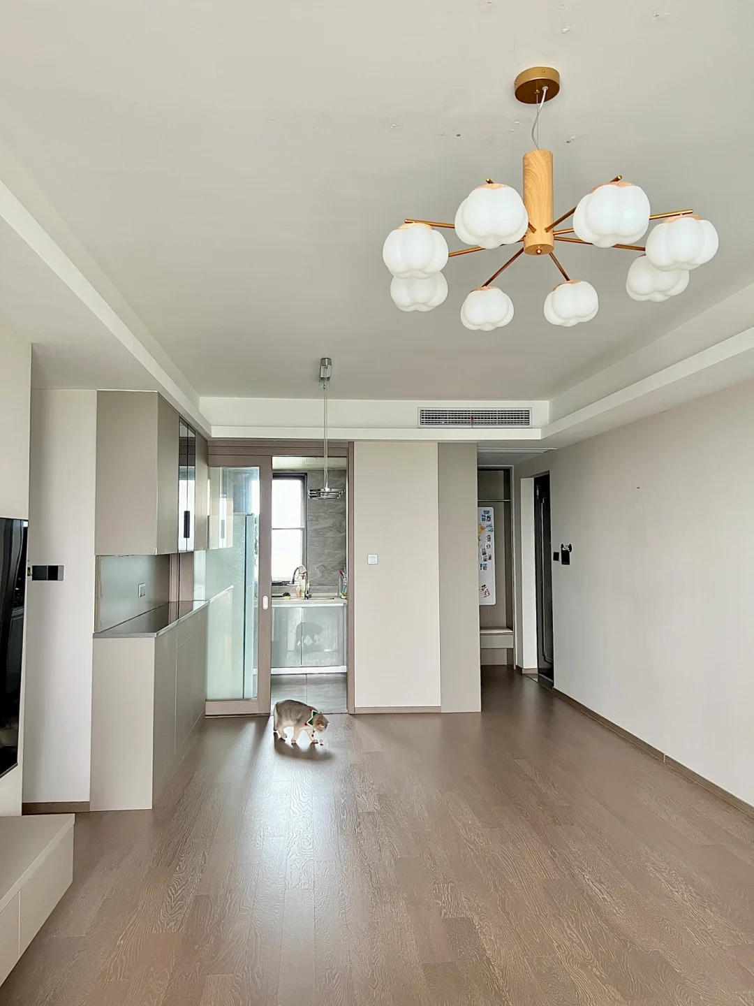 被邻居挑剩的14楼🏡变成了我的dream house