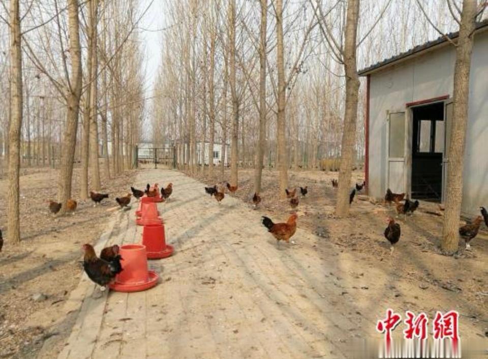 京东用三轮车把包裹运进大山用三轮车送件进大山看似是件微不足道的小事背后是持续下沉