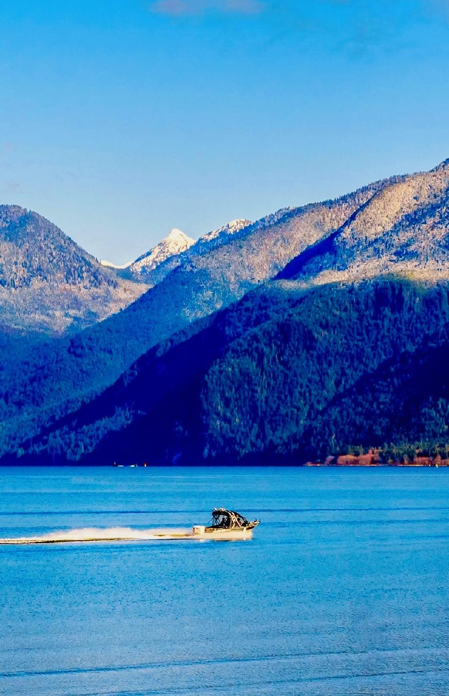 字字千金的话：男人要顶天立地，追风赶月莫停留。请你不要畏畏缩缩，给人一种扛不起事