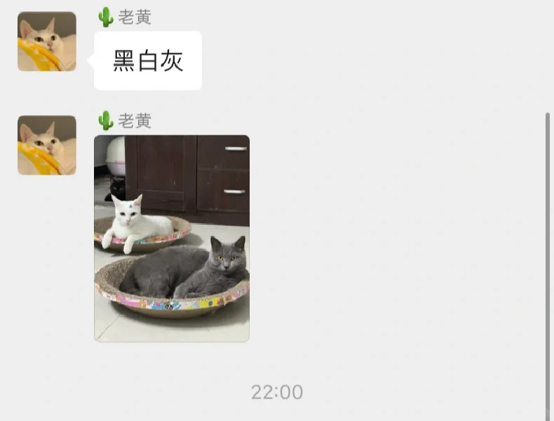 我不说你能找到图中有只小黑猫吗