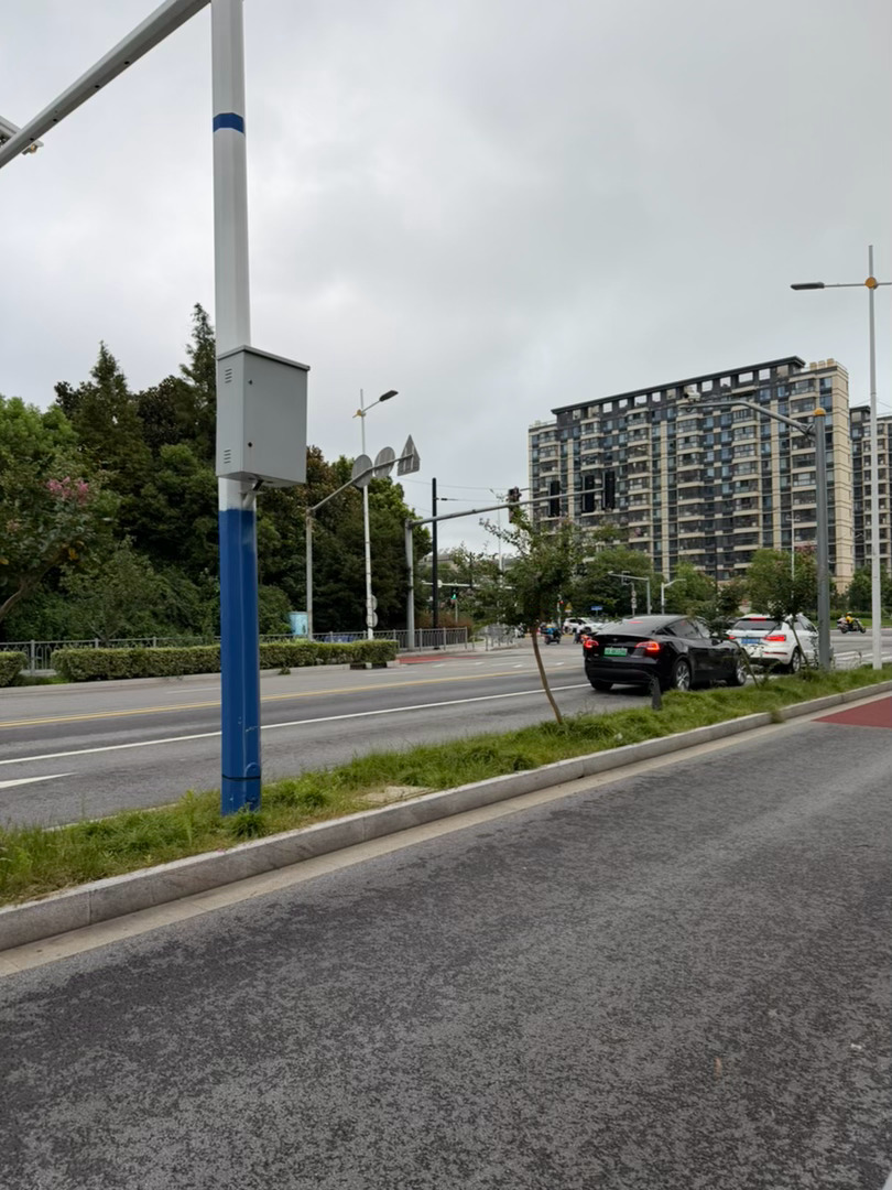 五天来第一次，我们可以在外面自由地溜达，连续几天的暴雨终于按下了暂停键卷宝的大工