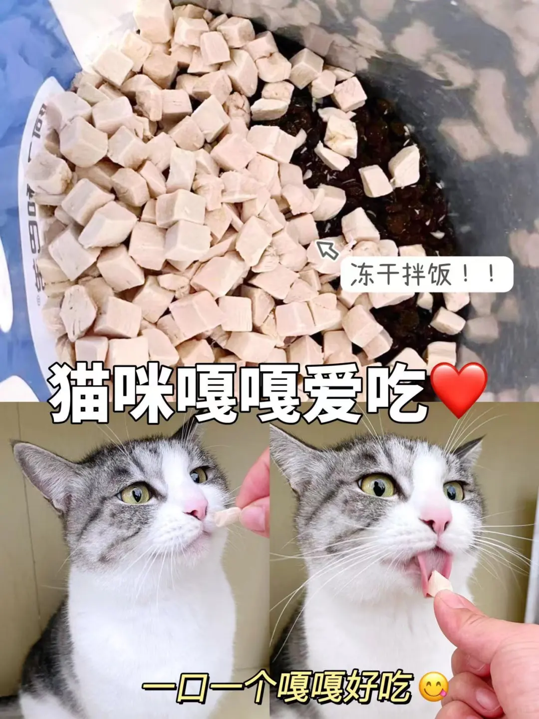 如何告别猫咪软便烦恼？谁来救救场