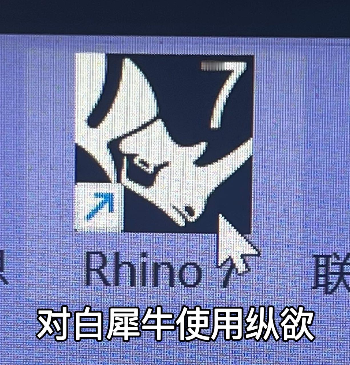 6021【🦏】春日放个疯 ​​​