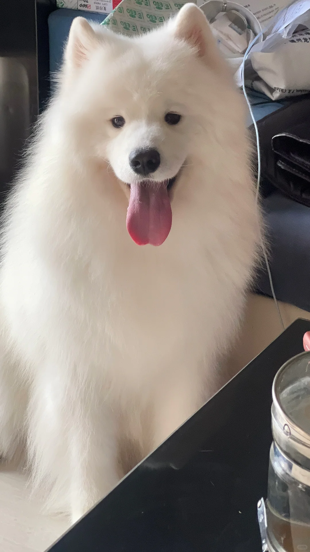 一组略略略大舌头😛照