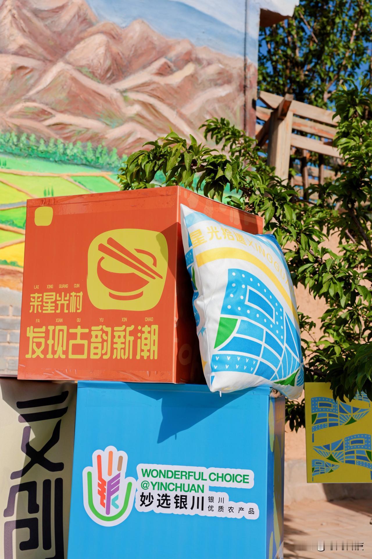 星光村能得到大家的认可，从来不是偶然。

作为银川市城乡融合集散地，星光拾遗没玩