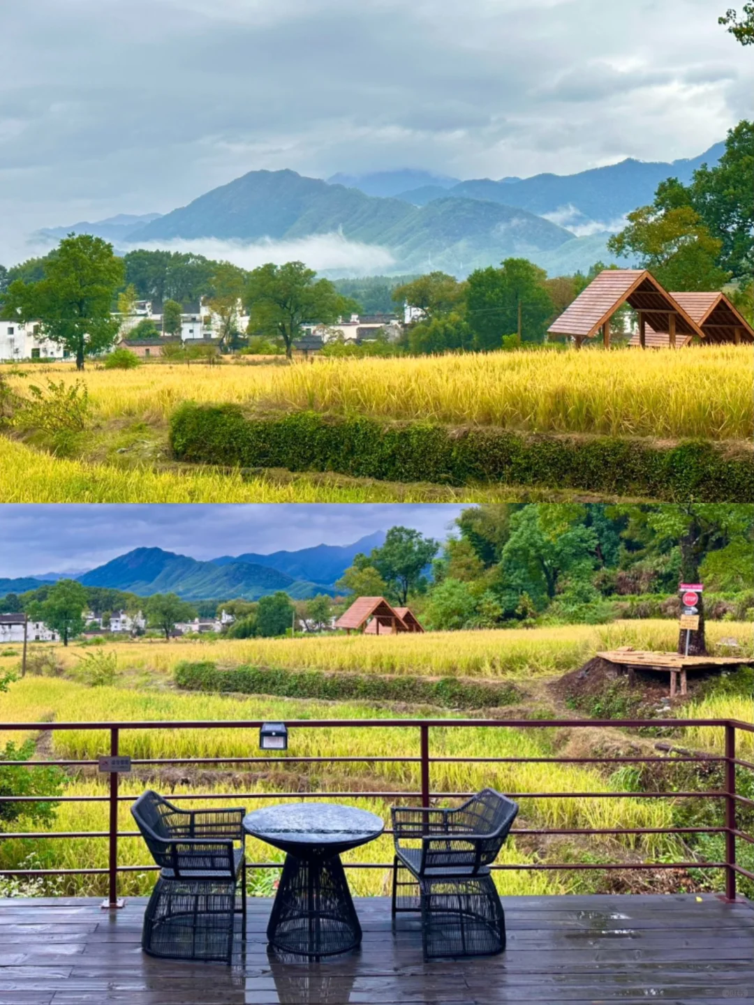 黄山宏村塔川秋色｜泡在浴缸里♨️看红叶咯🍁