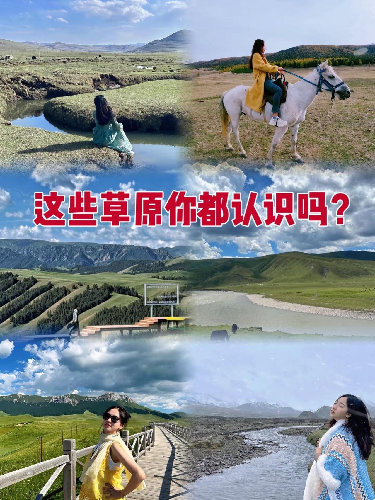 这是大草原给的自由感！｜看图你去过几处？多地草原合辑，看图你去过几处呢？整理了本