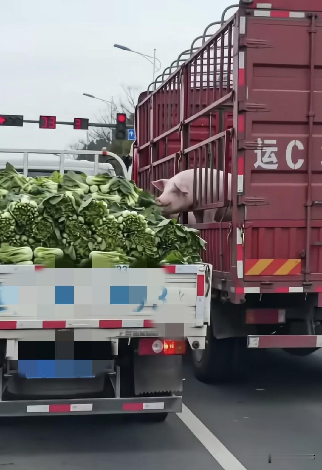 这个张图来解释缘分和相逢应该最为贴切