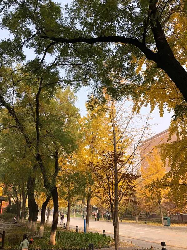 中国传媒大学2025年在陕西省物理组提前批小语种录取分数曝光

中国传媒大学20